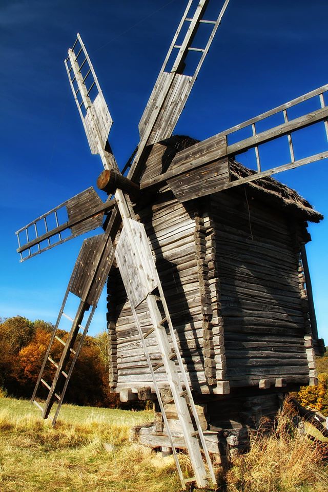 Колесо життя