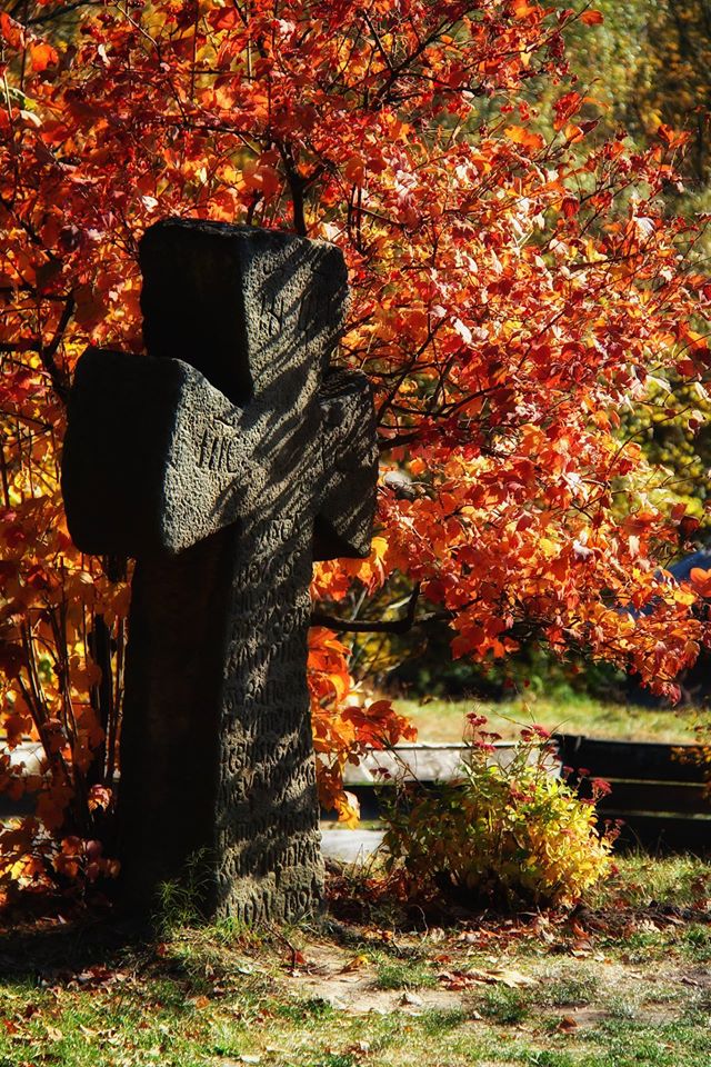 Козацький Хрест та Калина