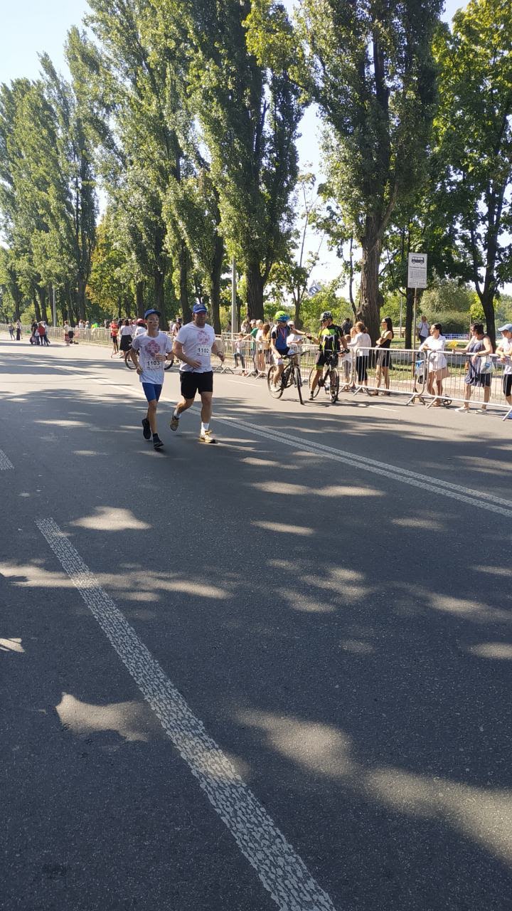 IMG-6d09a7b761c610026d90afc5d8254e5e-V